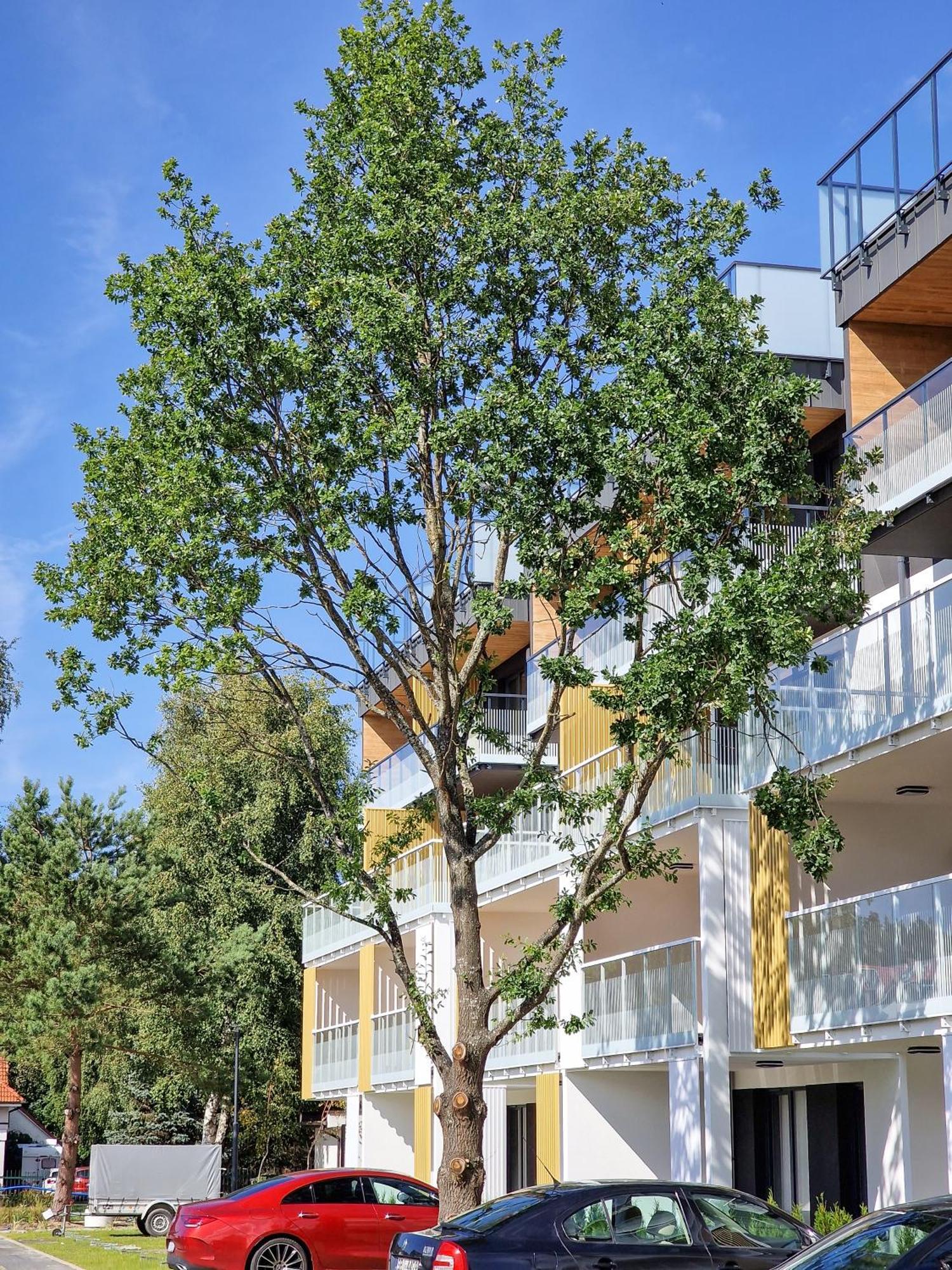 Posesja Apartamenty & Spa - Posesja Plazowa 4A II Grzybowo  Eksteriør bilde